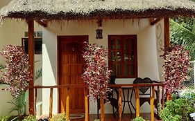 Glorias Panglao Inn 1